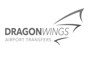 Dragon Wings